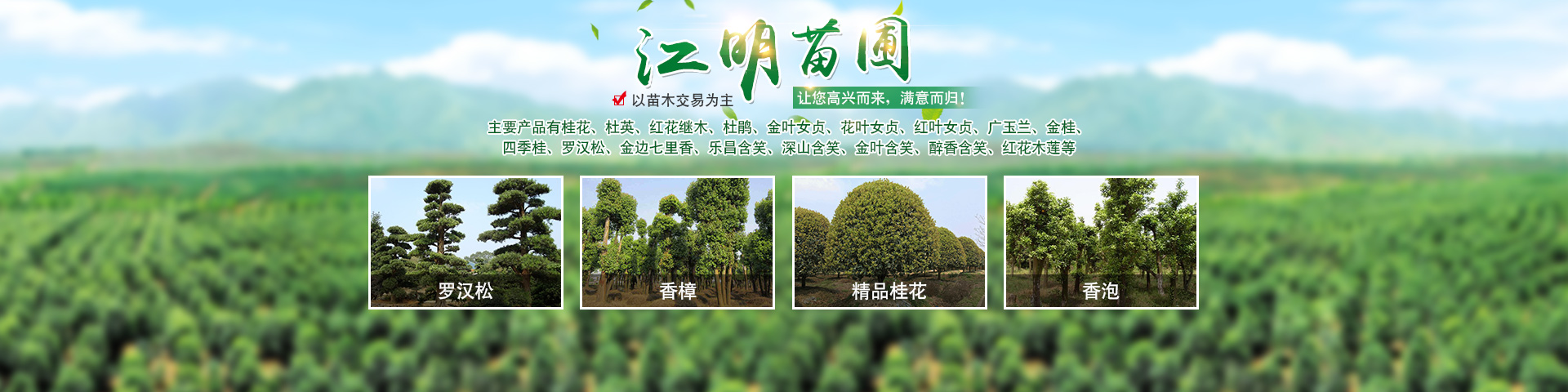 湖南梓嵐園林景觀有限責(zé)任公司_湖南苗木銷售|造型苗木|喬灌木類|精品小苗